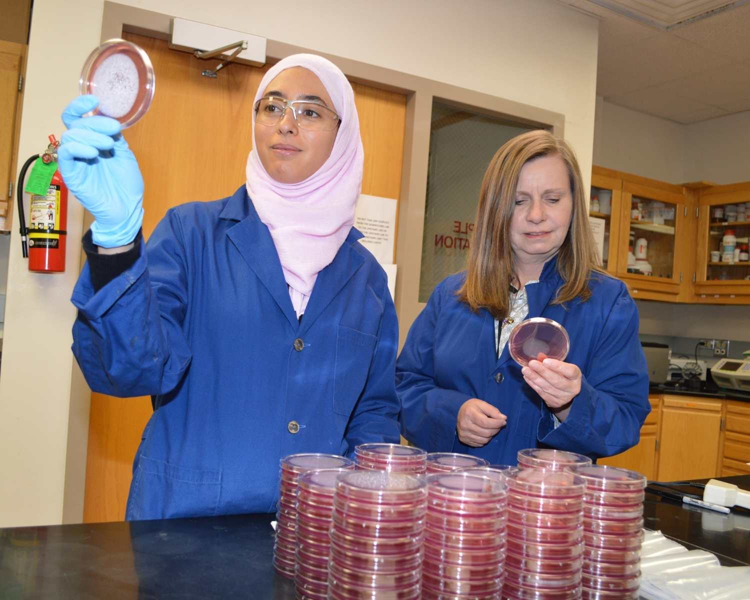 Scientist hold up petri dishes