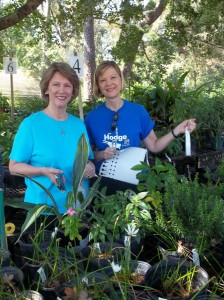 Volunteers putting labels on plants