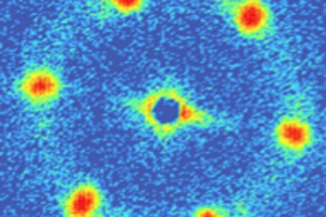 Neutron Scattering